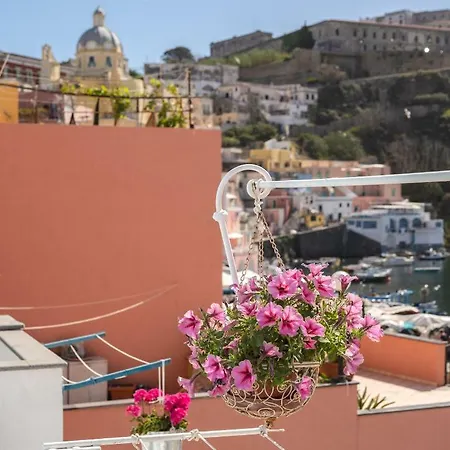 Lejlighed Casa Athina